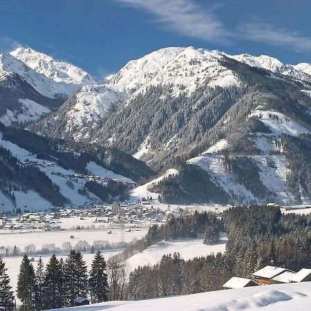 Chalet Freiblick Kleinhaid, Hollersbach Холлерсбах  Экстерьер фото