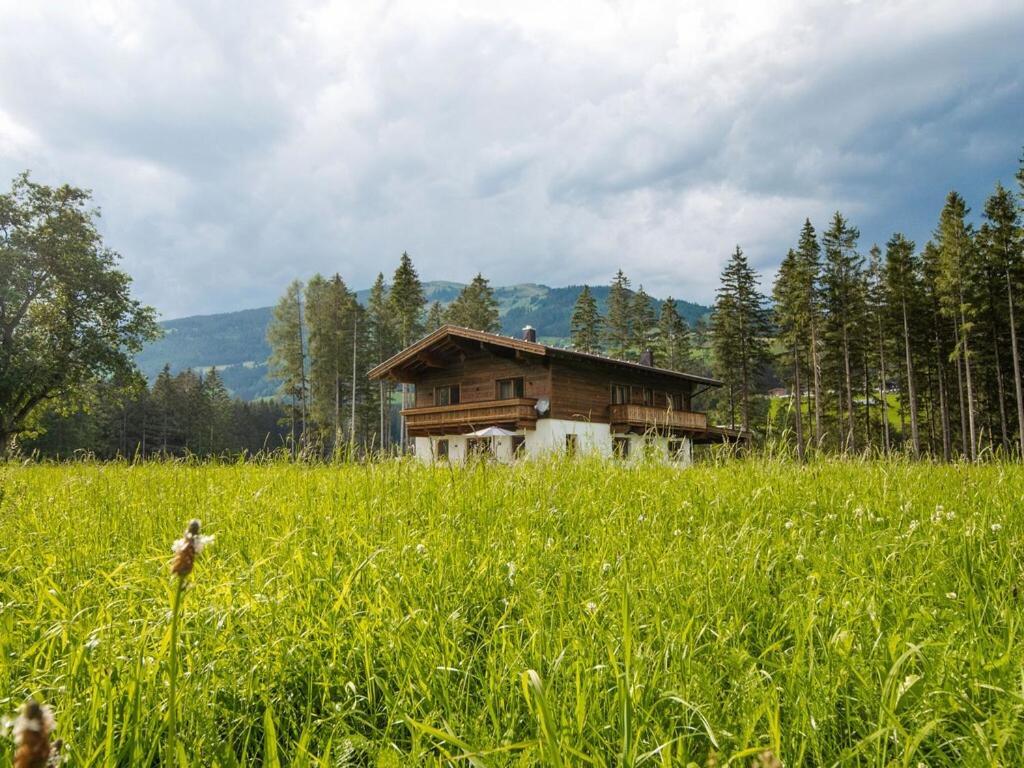 Chalet Freiblick Kleinhaid, Hollersbach Холлерсбах  Экстерьер фото