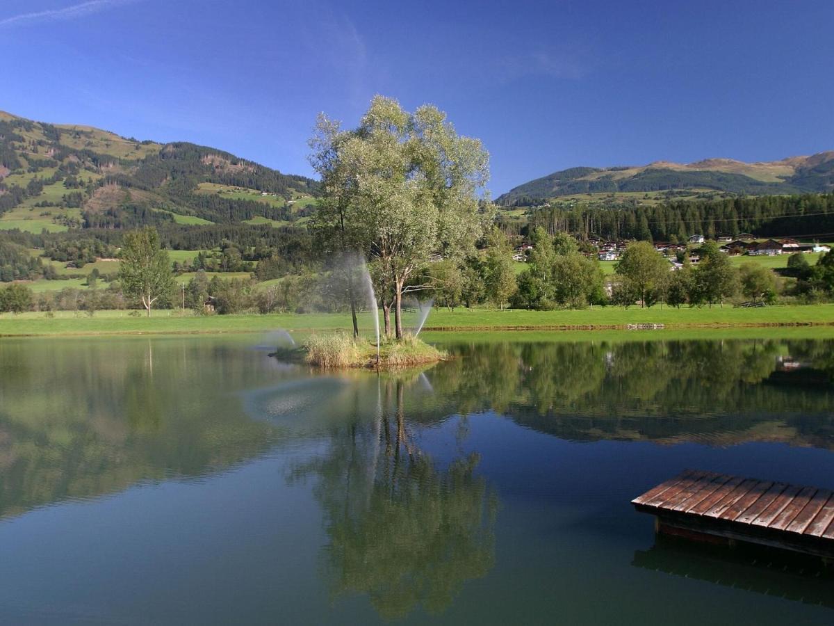 Chalet Freiblick Kleinhaid, Hollersbach Холлерсбах  Экстерьер фото