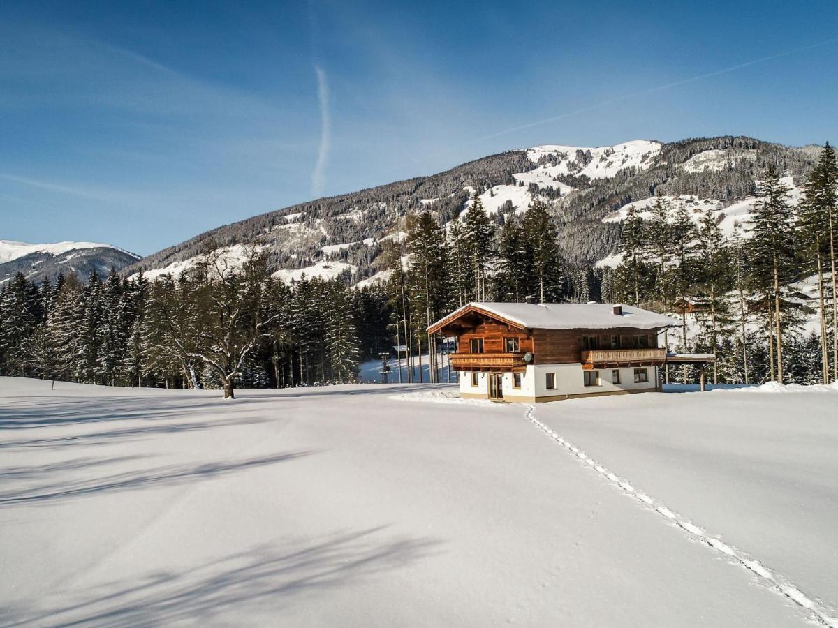 Chalet Freiblick Kleinhaid, Hollersbach Холлерсбах  Экстерьер фото