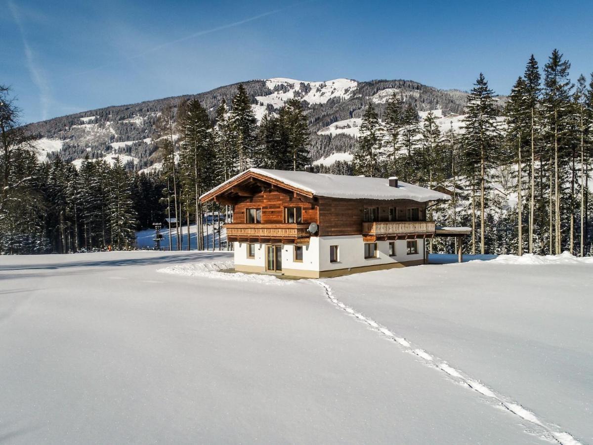 Chalet Freiblick Kleinhaid, Hollersbach Холлерсбах  Экстерьер фото